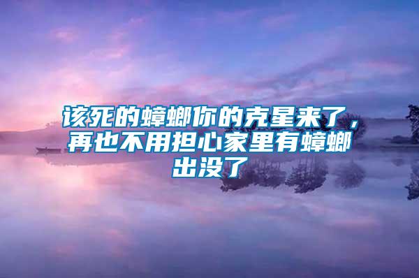 該死的蟑螂你的克星來了，再也不用擔心家里有蟑螂出沒了