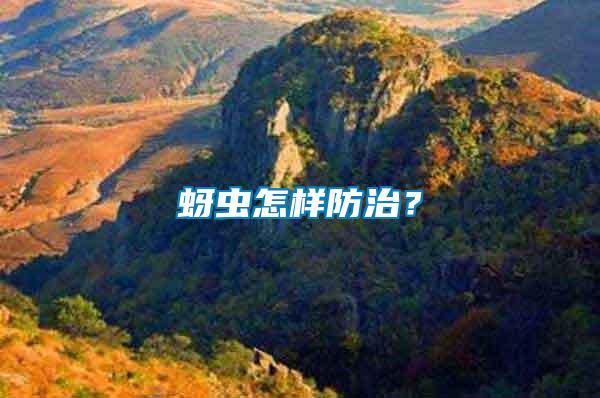 蚜蟲怎樣防治？