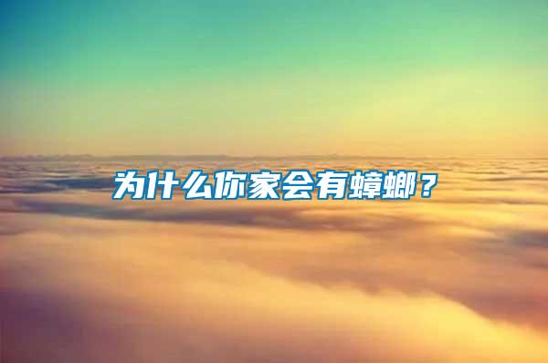 為什么你家會有蟑螂?