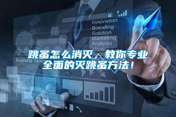 跳蚤怎么消滅,教你專(zhuān)業(yè)全面的滅跳蚤方法!