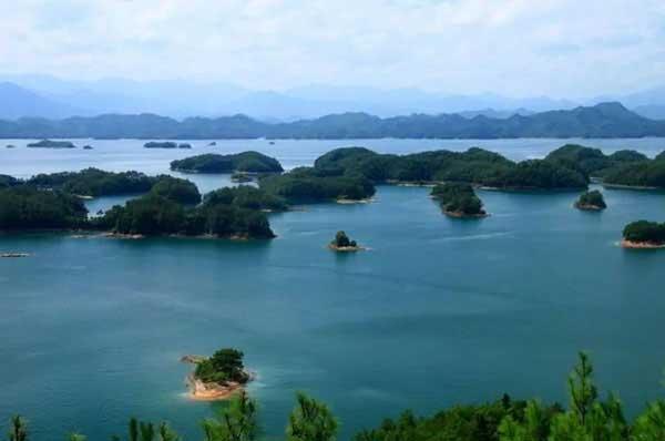 抗藥性是什么意思?蚊子怎么會(huì)出現(xiàn)抗藥性?