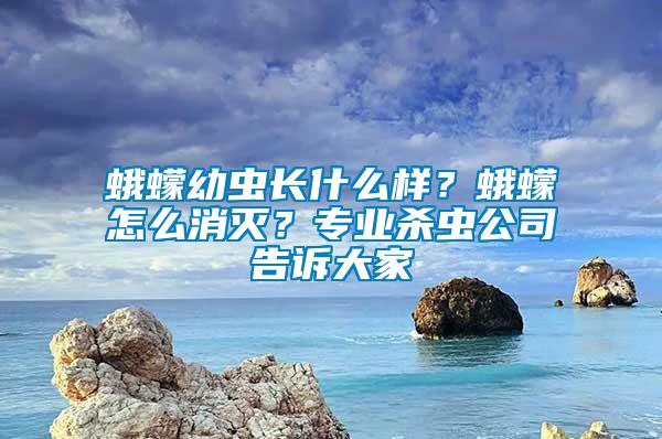 蛾蠓幼蟲長什么樣?蛾蠓怎么消滅?專業(yè)殺蟲公司告訴大家