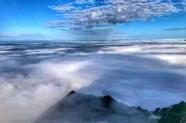 危害:“新四害”之首,已成為多種疾病的產生和傳播根源