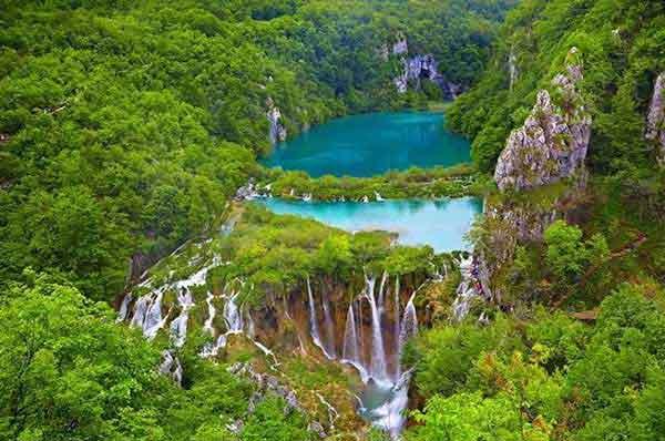 世界級衛生害蟲——德國小蠊(德國小蟑螂)