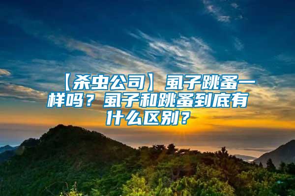【殺蟲公司】虱子跳蚤一樣嗎？虱子和跳蚤到底有什么區(qū)別？