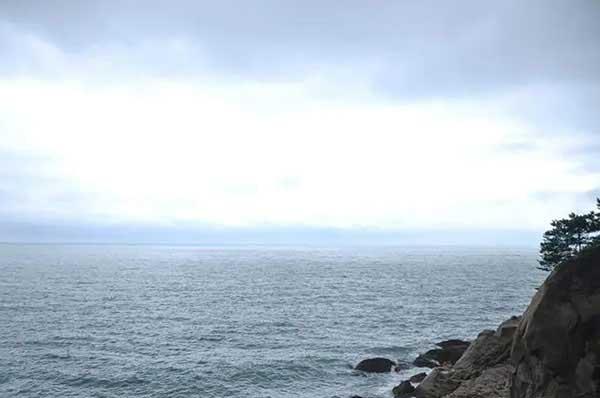 【殺蟲公司】跳蚤怎么消滅?6招教你家里有跳蚤怎么殺更徹底