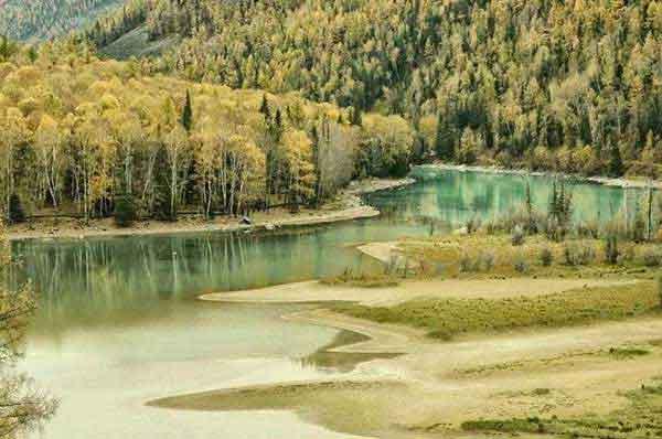 花少的錢解決蟑螂問題是真的嗎?