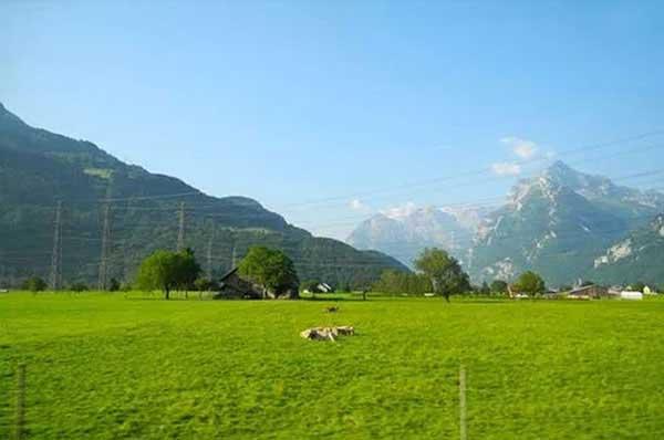 說起蟑螂,它可是一個“藏匿高手”,你想找它,不容易,除非它直接跑到你面前!