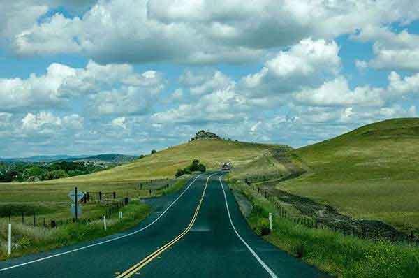 危險(xiǎn)的預(yù)防:紅火蟻