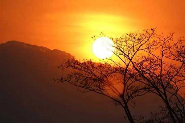 【殺蟲公司】恐怖!小區(qū)地下室成跳蚤成災(zāi),半分鐘就可以爬滿腿部!