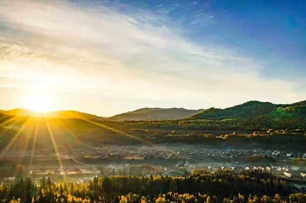 蟑螂藥:家里有蟑螂怎么辦?