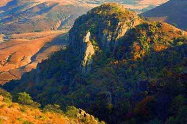 深圳殺蟲專業(yè)公司宣傳病媒生物防制常識