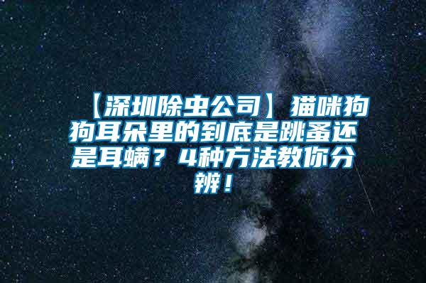 【深圳除蟲公司】貓咪狗狗耳朵里的到底是跳蚤還是耳螨？4種方法教你分辨！