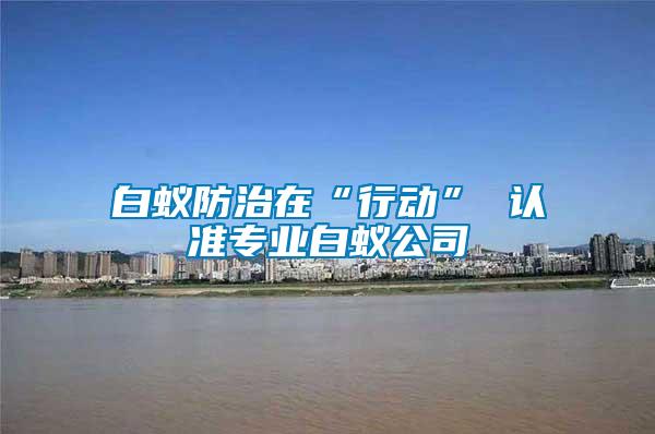 白蟻防治在“行動” 認(rèn)準(zhǔn)專業(yè)白蟻公司