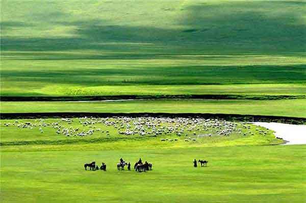 深圳家庭殺臭蟲服務價格,公司上門殺一次臭蟲多少錢?