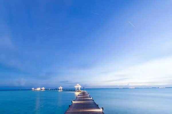 速覽臭蟲的生理習性、危害及防制方法！