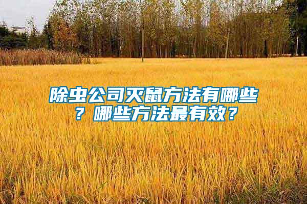 除蟲公司滅鼠方法有哪些?哪些方法最有效?