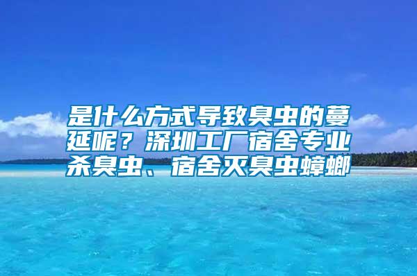 是什么方式導致臭蟲的蔓延呢？深圳工廠宿舍專業殺臭蟲、宿舍滅臭蟲蟑螂