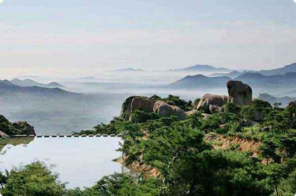 新西蘭擬訂“瘋狂”滅鼠計(jì)劃