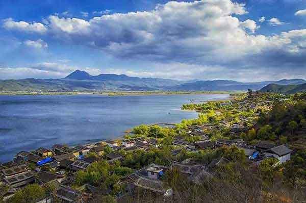 【深圳殺蟲滅鼠公司】如何才能消滅臭蟲？遠離臭蟲？