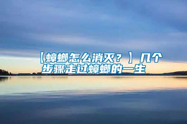 【蟑螂怎么消滅?】幾個步驟走過蟑螂的一生
