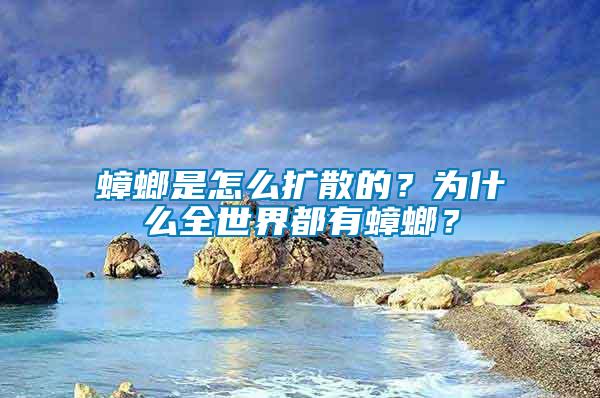 蟑螂是怎么擴散的?為什么全世界都有蟑螂?