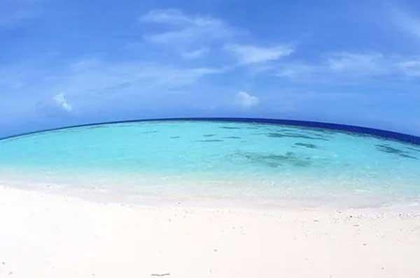 殺蟲公司細談臭蟲如何徹底消滅?