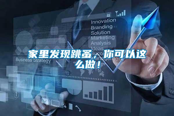 家里發(fā)現(xiàn)跳蚤,你可以這么做!