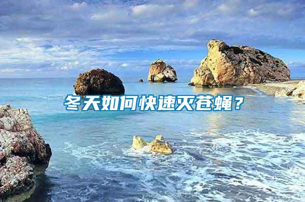 冬天如何快速滅蒼蠅?