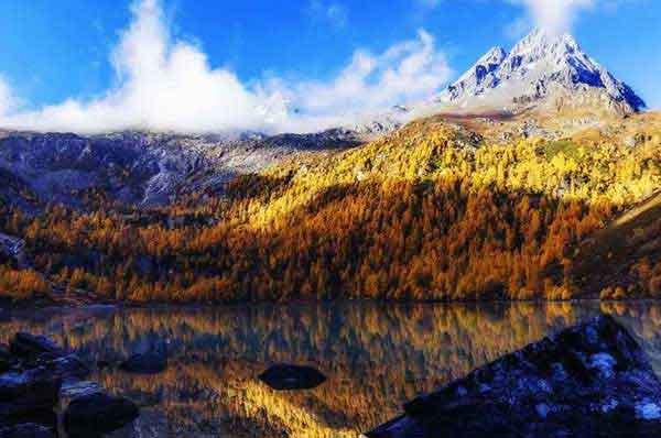 【深圳消殺公司】傳說中的“寨卡”病毒離我們究竟有多遠？