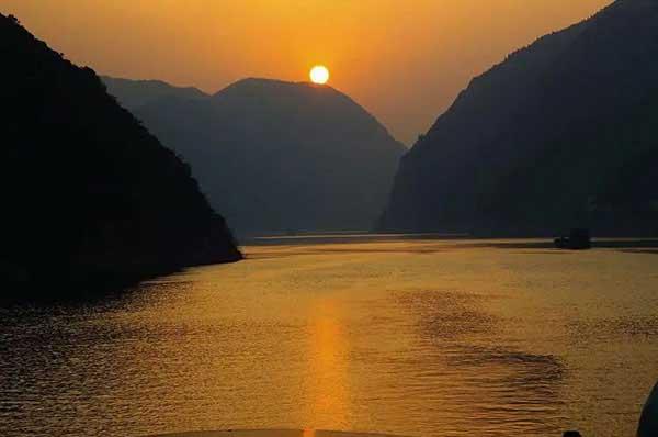 滅蟲公司,大家都需要