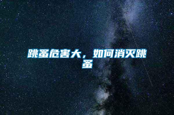 跳蚤危害大,如何消滅跳蚤