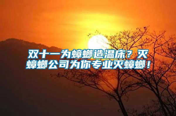 雙十一為蟑螂造溫床?滅蟑螂公司為你專業(yè)滅蟑螂!