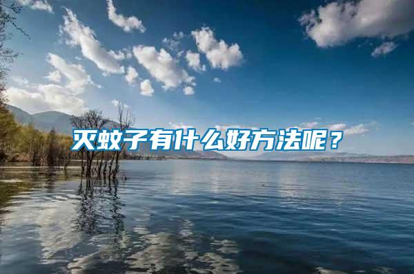 滅蚊子有什么好方法呢?