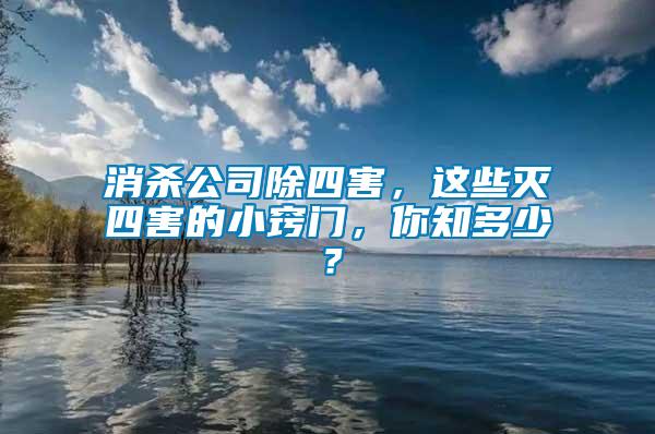 消殺公司除四害，這些滅四害的小竅門，你知多少？