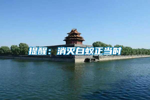 提醒:消滅白蟻正當時