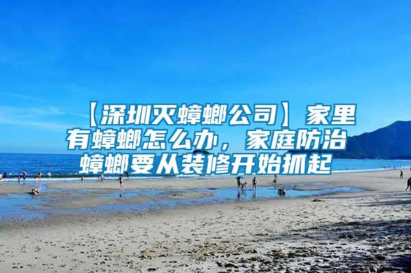 【深圳滅蟑螂公司】家里有蟑螂怎么辦，家庭防治蟑螂要從裝修開始抓起