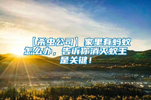 【殺蟲公司】家里有螞蟻怎么辦,告訴你消滅蟻王是關(guān)鍵!