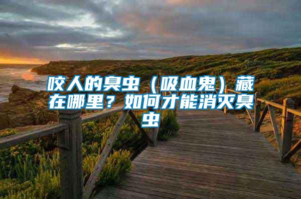 咬人的臭蟲（吸血鬼）藏在哪里？如何才能消滅臭蟲