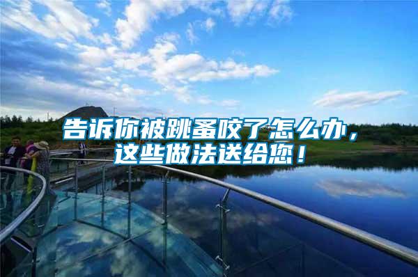 告訴你被跳蚤咬了怎么辦，這些做法送給您！