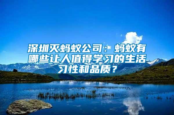 深圳滅螞蟻公司:螞蟻有哪些讓人值得學習的生活習性和品質?