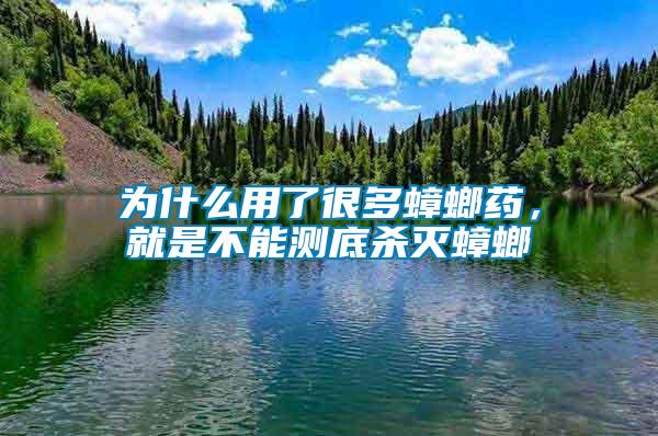 為什么用了很多蟑螂藥,就是不能測(cè)底殺滅蟑螂