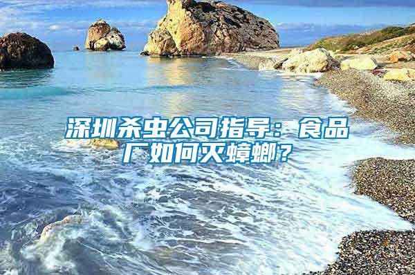 深圳殺蟲公司指導：食品廠如何滅蟑螂？