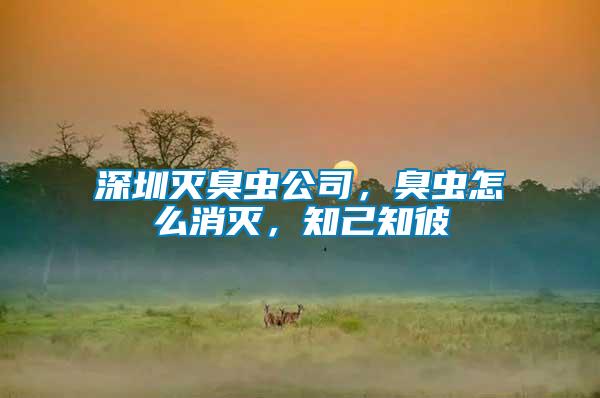 深圳滅臭蟲公司,臭蟲怎么消滅,知己知彼