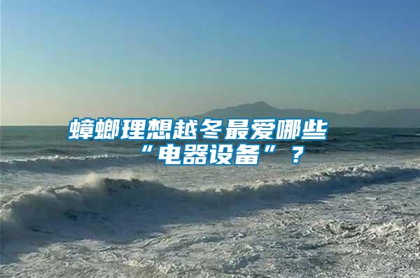蟑螂理想越冬最愛哪些“電器設備”?