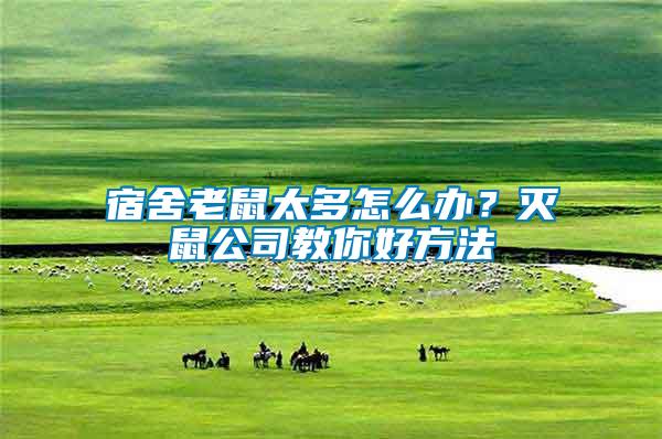 宿舍老鼠太多怎么辦？滅鼠公司教你好方法