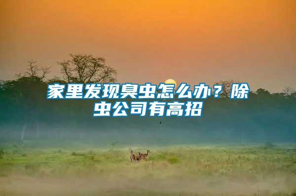 家里發(fā)現(xiàn)臭蟲怎么辦?除蟲公司有高招