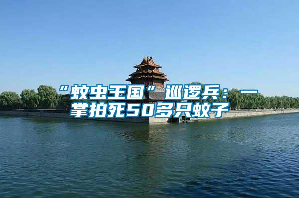 “蚊蟲王國”巡邏兵:一掌拍死50多只蚊子