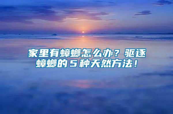 家里有蟑螂怎么辦？驅逐蟑螂的５種天然方法！