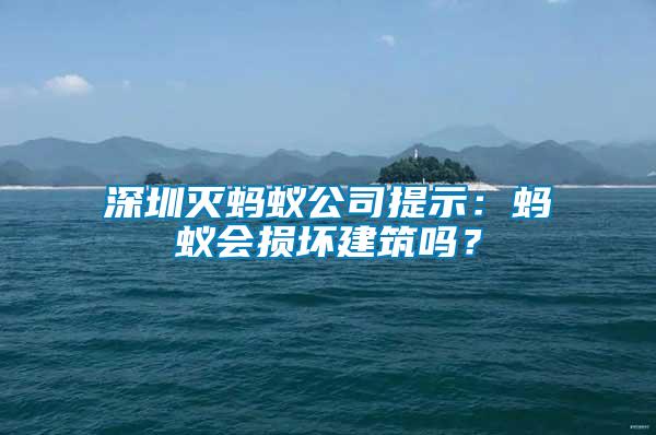 深圳滅螞蟻公司提示:螞蟻會(huì)損壞建筑嗎?